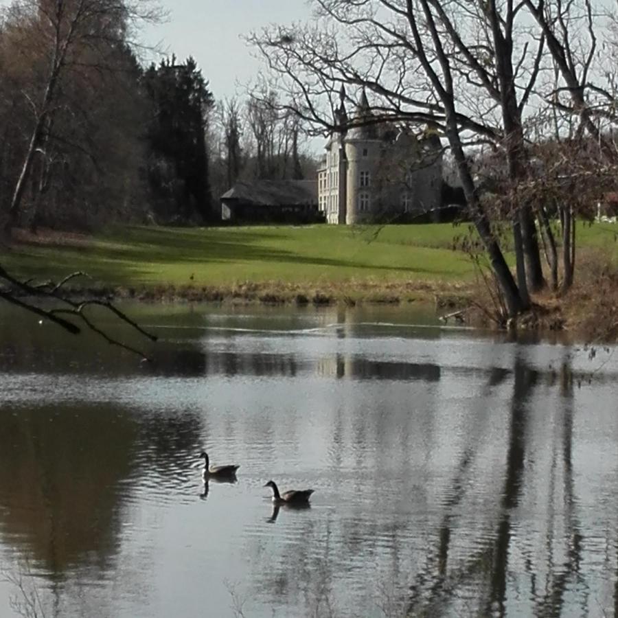 Chateau D'Hassonville Aye Luaran gambar