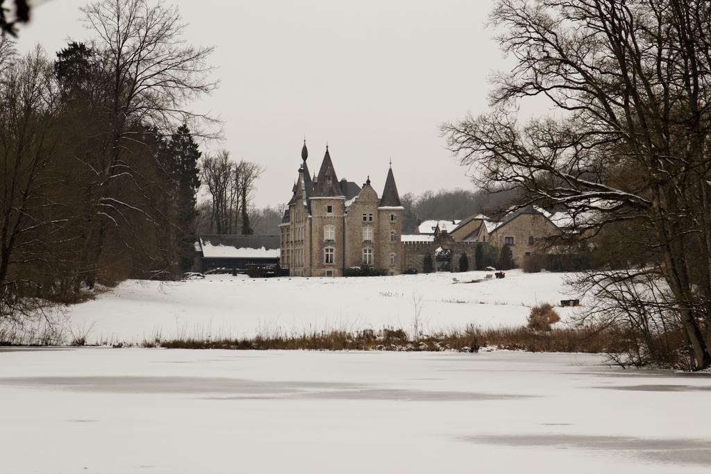 Chateau D'Hassonville Aye Luaran gambar
