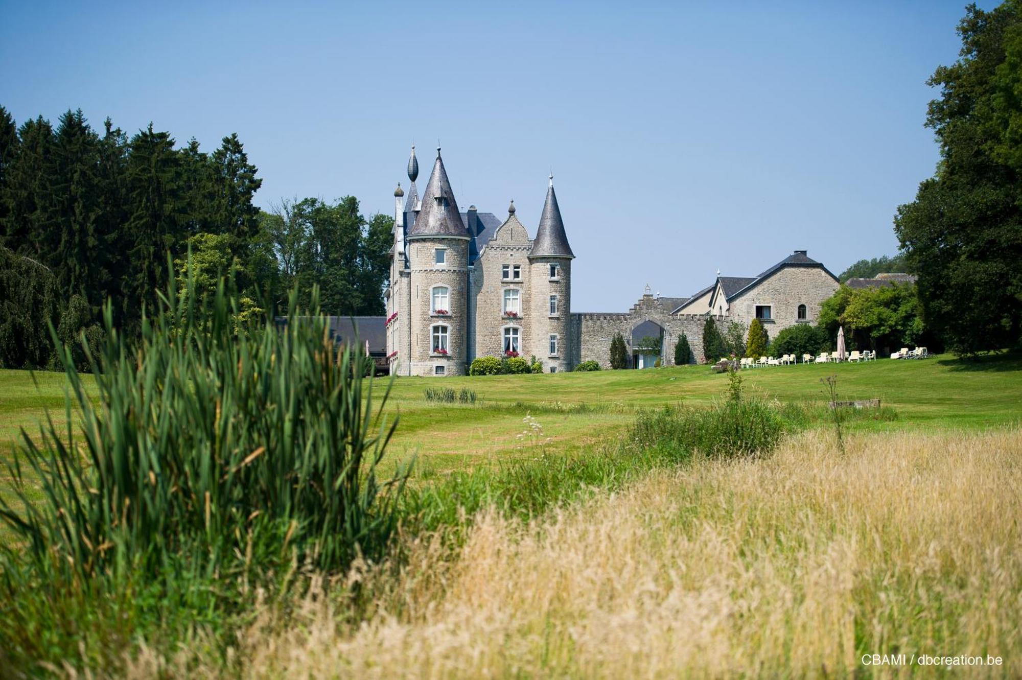 Chateau D'Hassonville Aye Luaran gambar