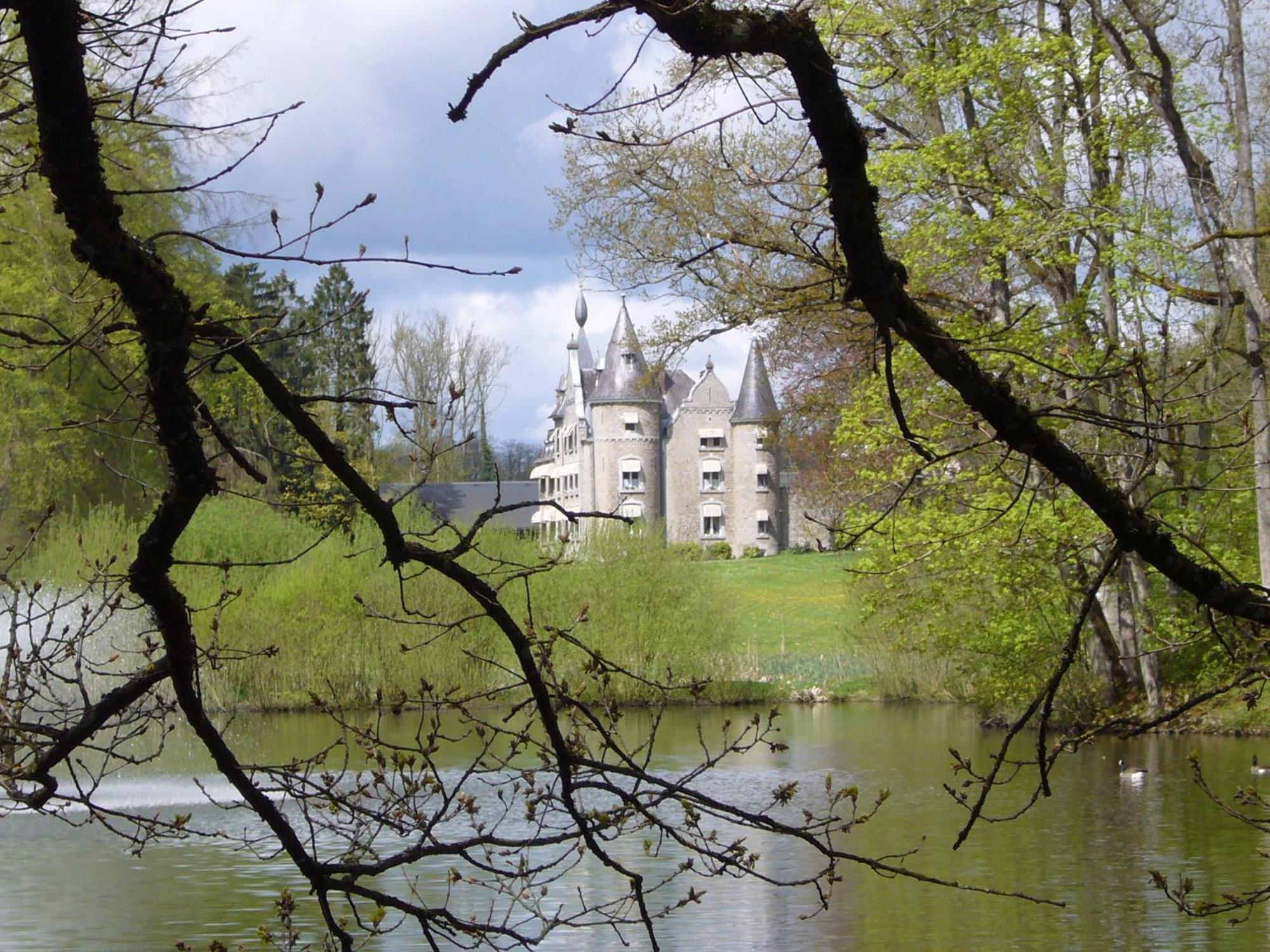 Chateau D'Hassonville Aye Luaran gambar