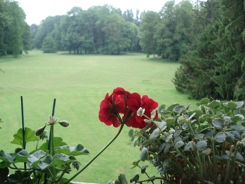 Chateau D'Hassonville Aye Luaran gambar
